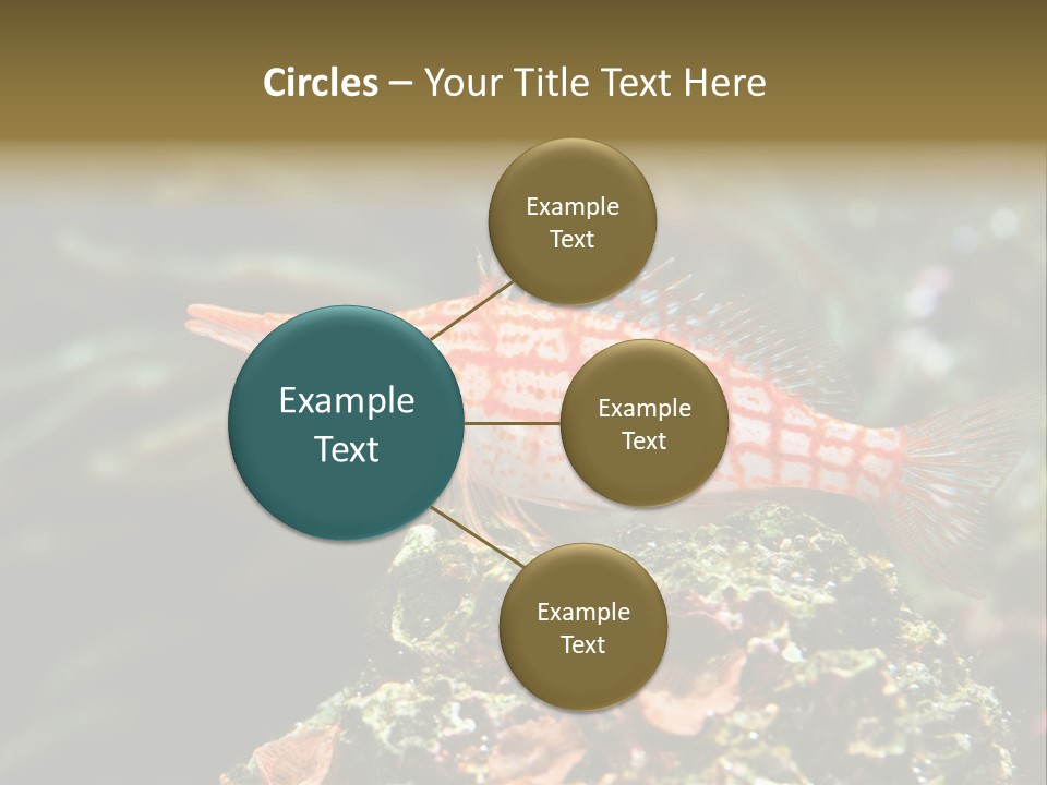 Sea Fish PowerPoint Template