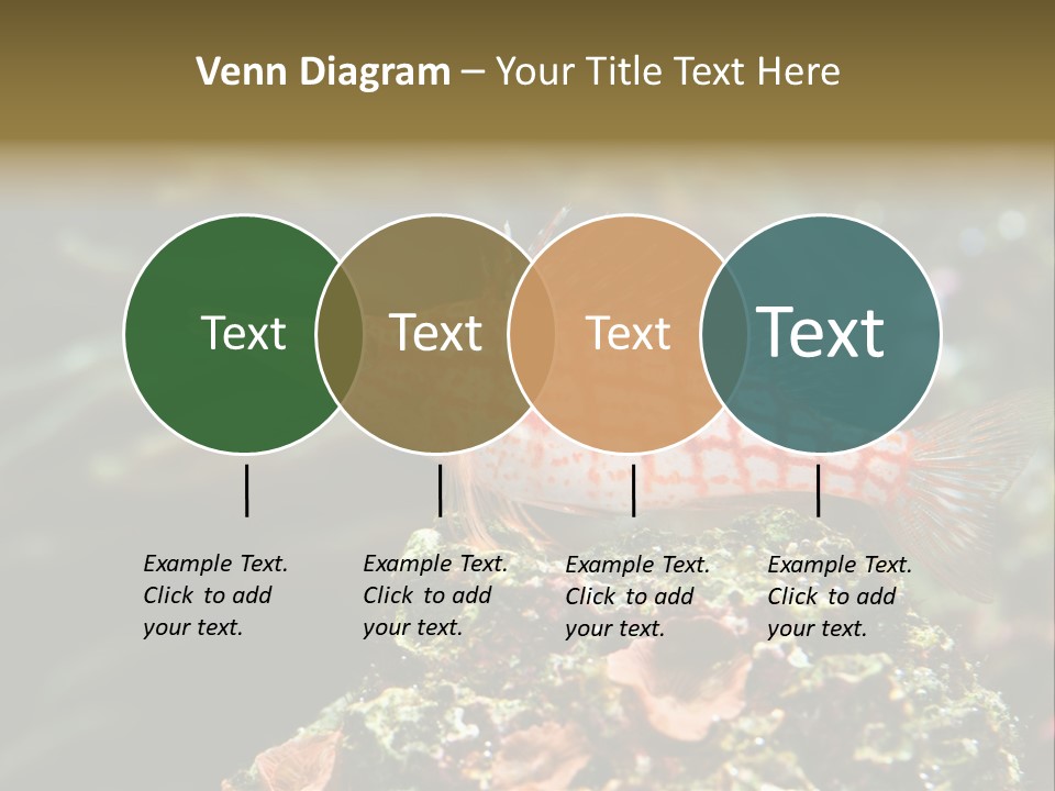 Sea Fish PowerPoint Template