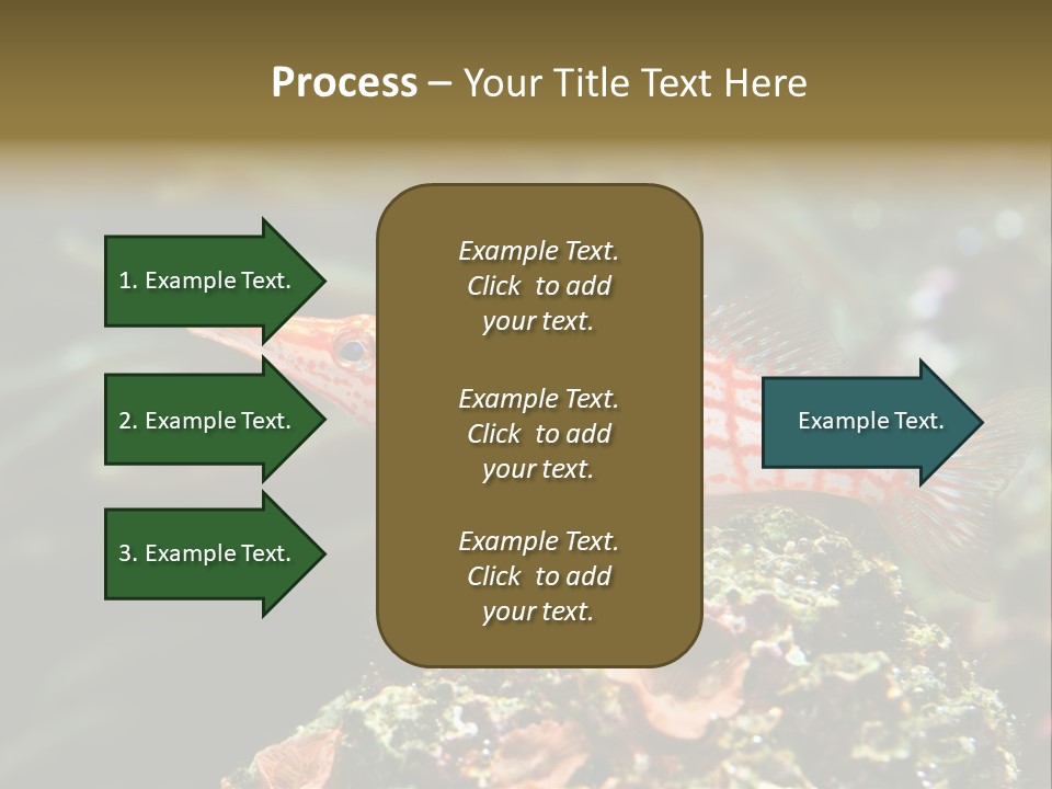 Sea Fish PowerPoint Template