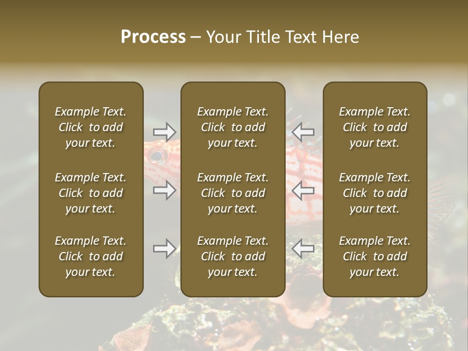 Sea Fish PowerPoint Template