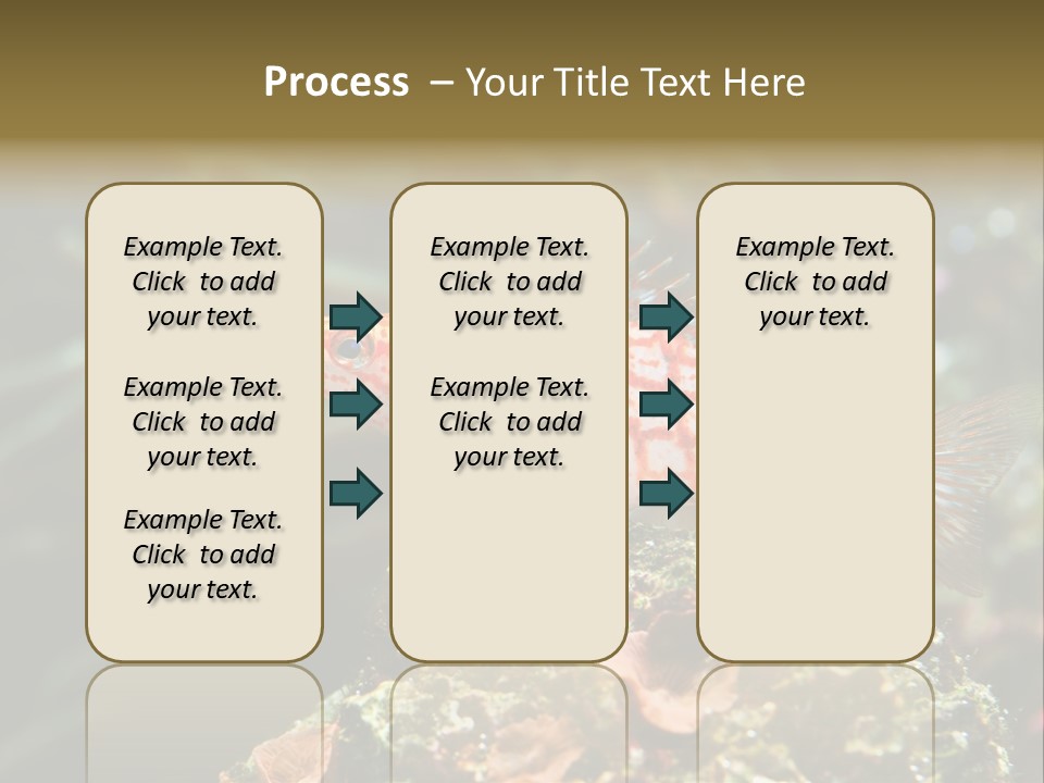 Sea Fish PowerPoint Template