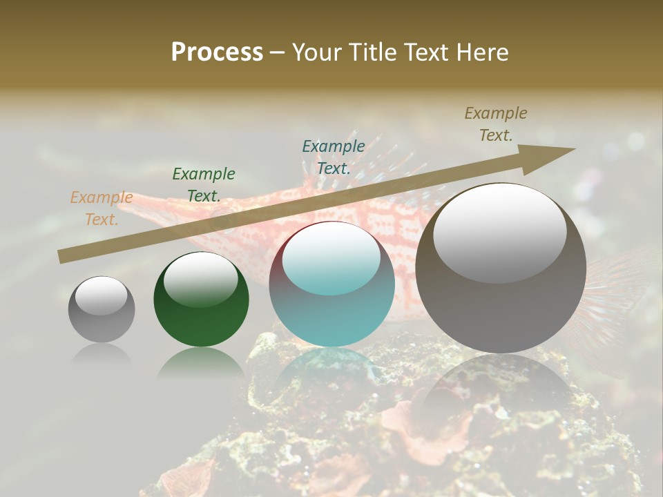 Sea Fish PowerPoint Template