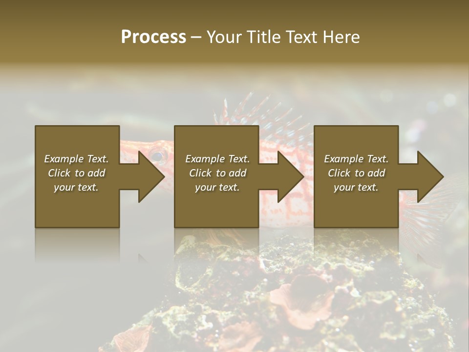 Sea Fish PowerPoint Template