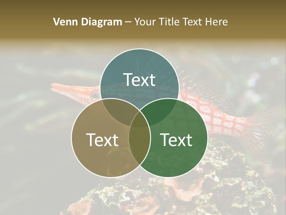 Sea Fish PowerPoint Template