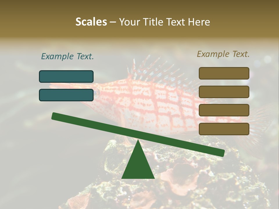 Sea Fish PowerPoint Template