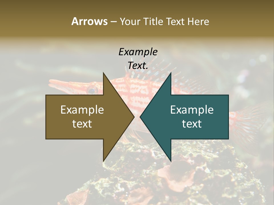 Sea Fish PowerPoint Template