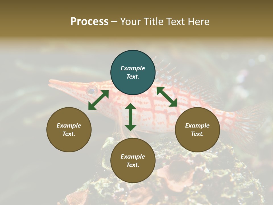 Sea Fish PowerPoint Template