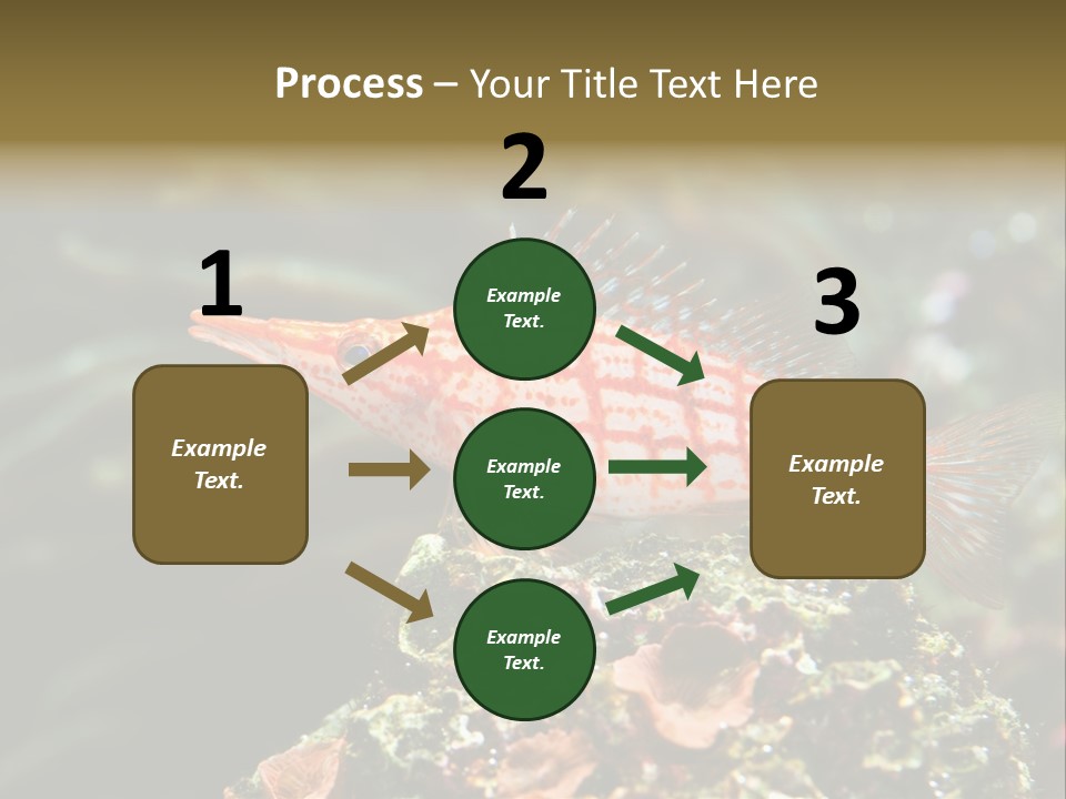 Sea Fish PowerPoint Template