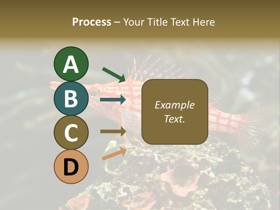 Sea Fish PowerPoint Template