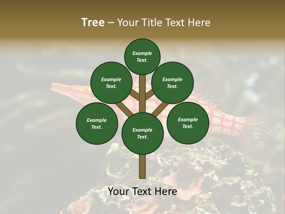 Sea Fish PowerPoint Template