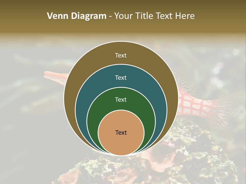 Sea Fish PowerPoint Template