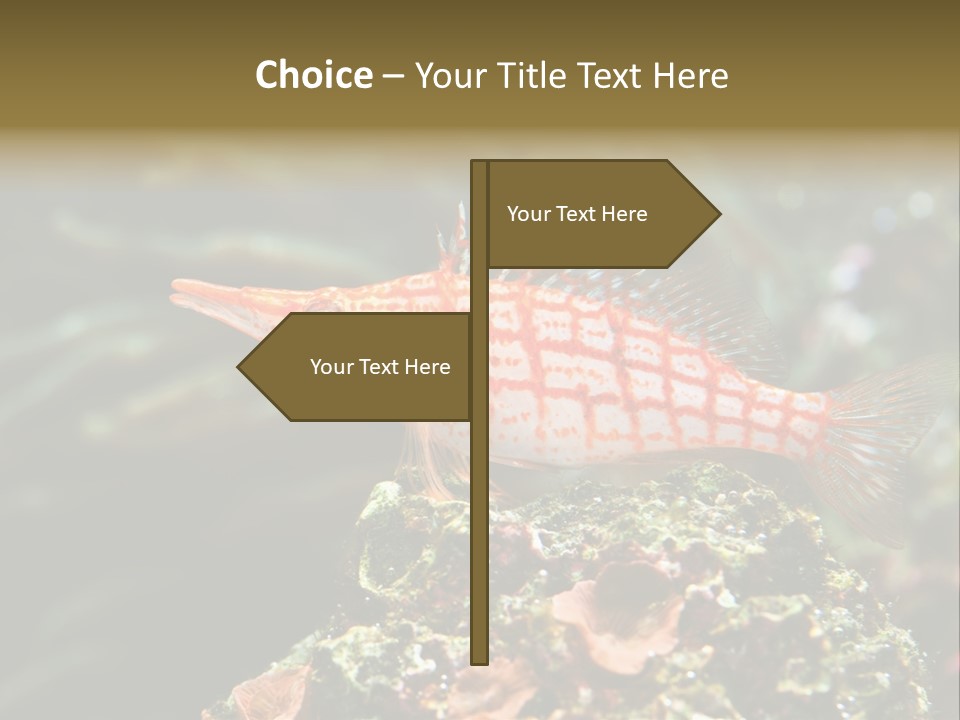 Sea Fish PowerPoint Template