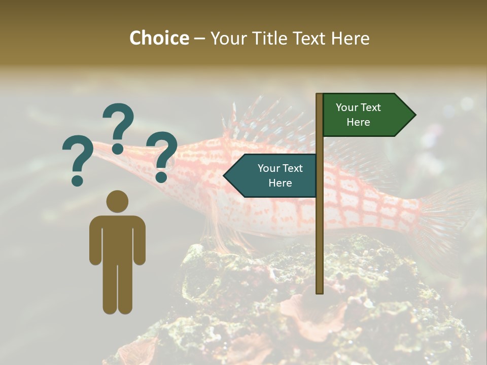 Sea Fish PowerPoint Template