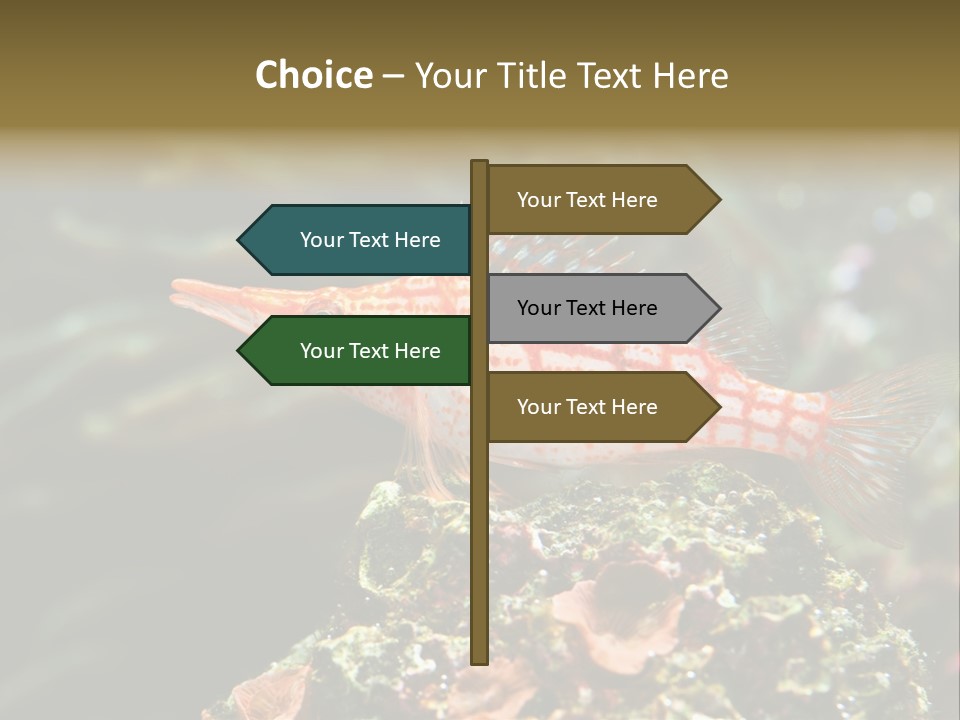 Sea Fish PowerPoint Template