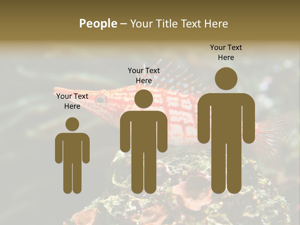 Sea Fish PowerPoint Template