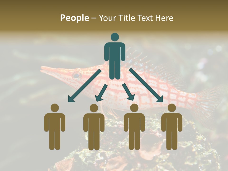 Sea Fish PowerPoint Template