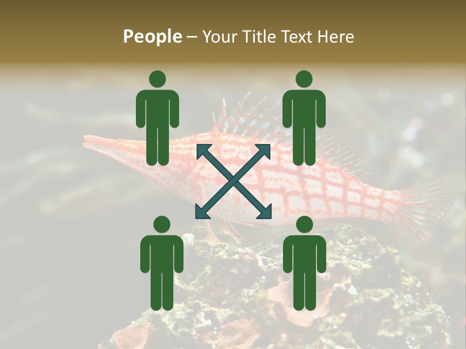 Sea Fish PowerPoint Template