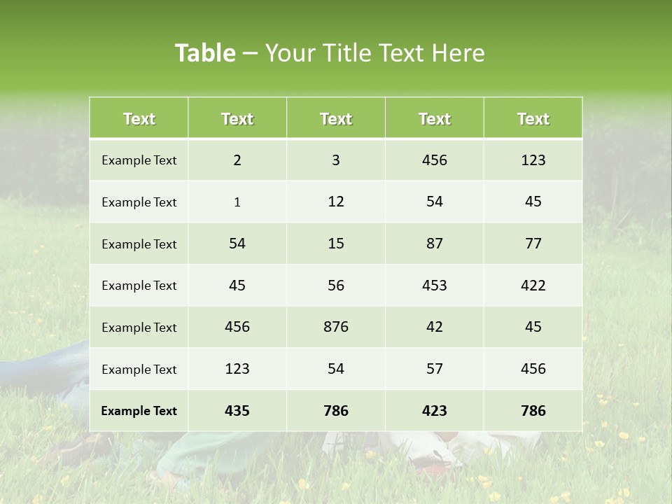 Li Ten Trategy Corporation PowerPoint Template