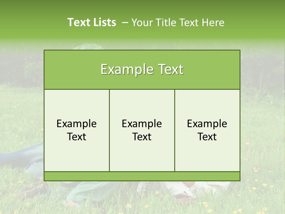 Li Ten Trategy Corporation PowerPoint Template
