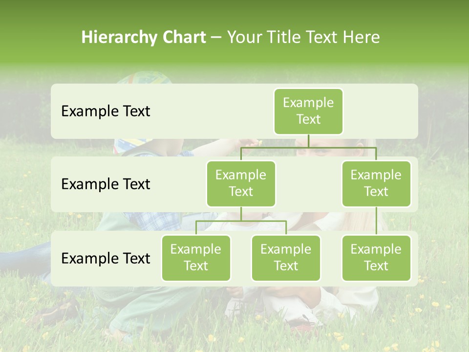 Li Ten Trategy Corporation PowerPoint Template