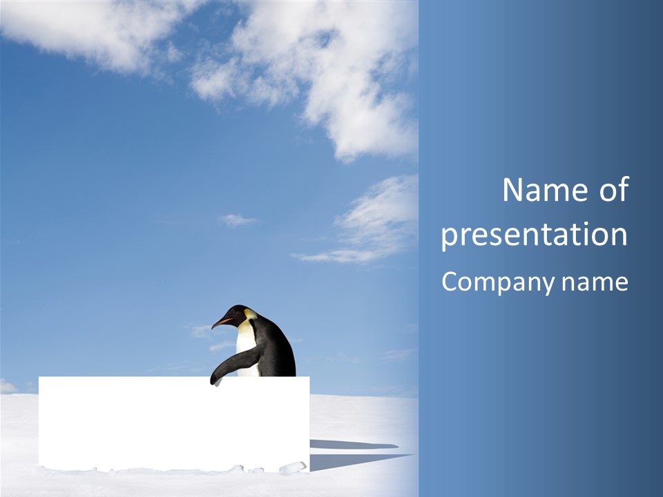 Copy Wildlife Antarctica PowerPoint Template