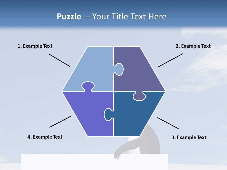 Copy Wildlife Antarctica PowerPoint Template