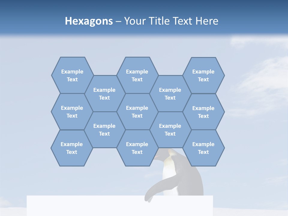 Copy Wildlife Antarctica PowerPoint Template