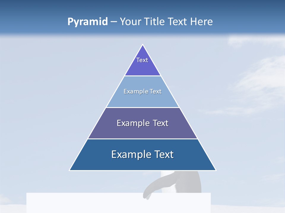 Copy Wildlife Antarctica PowerPoint Template