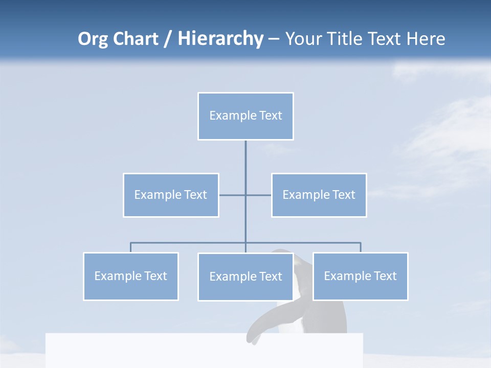 Copy Wildlife Antarctica PowerPoint Template