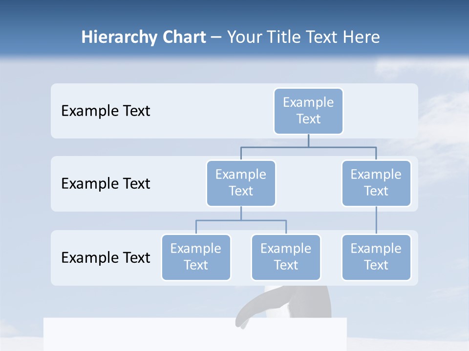Copy Wildlife Antarctica PowerPoint Template