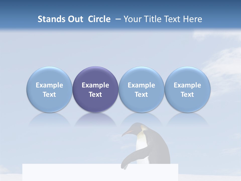 Copy Wildlife Antarctica PowerPoint Template