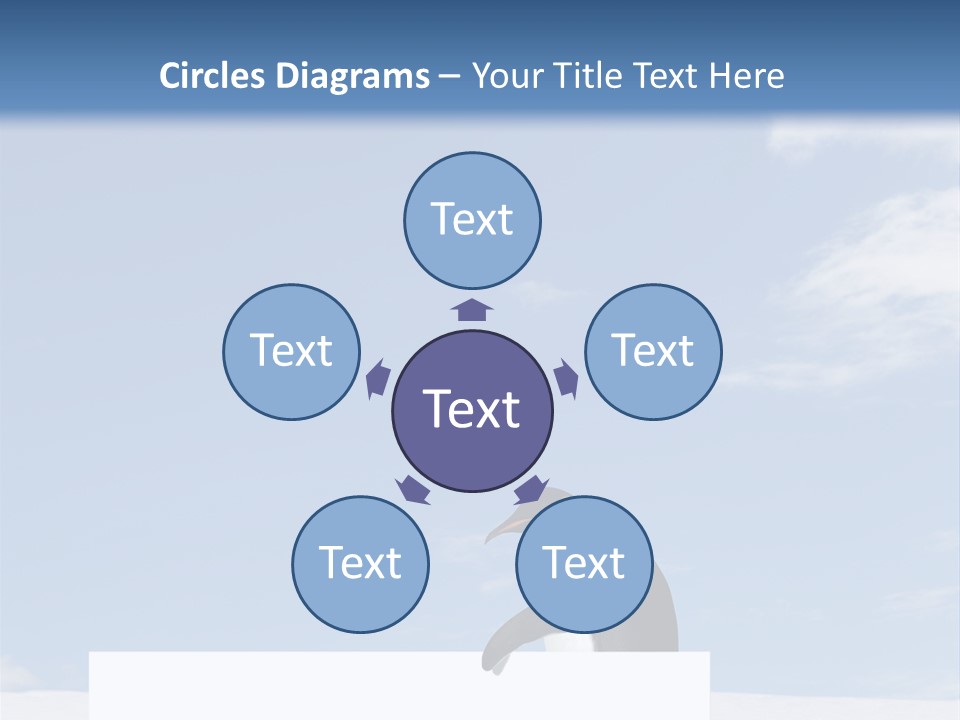 Copy Wildlife Antarctica PowerPoint Template