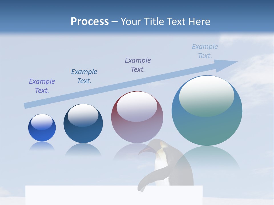 Copy Wildlife Antarctica PowerPoint Template