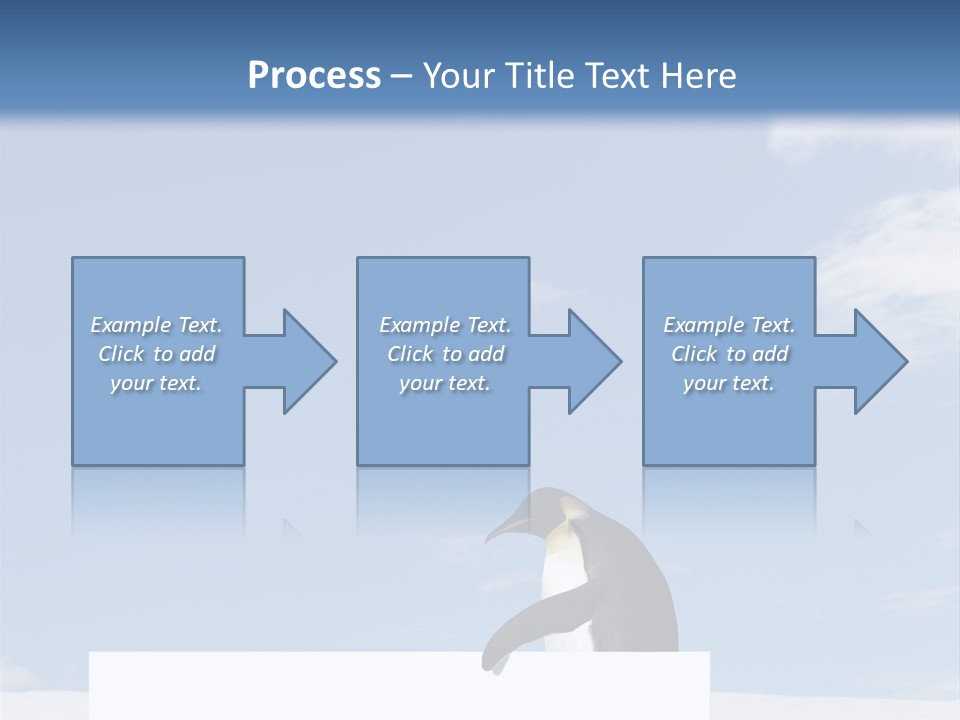 Copy Wildlife Antarctica PowerPoint Template