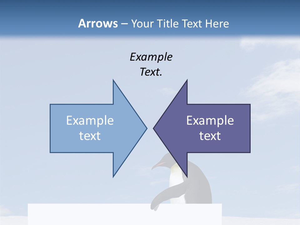 Copy Wildlife Antarctica PowerPoint Template