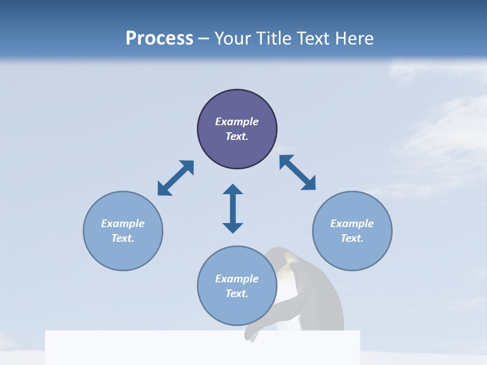 Copy Wildlife Antarctica PowerPoint Template