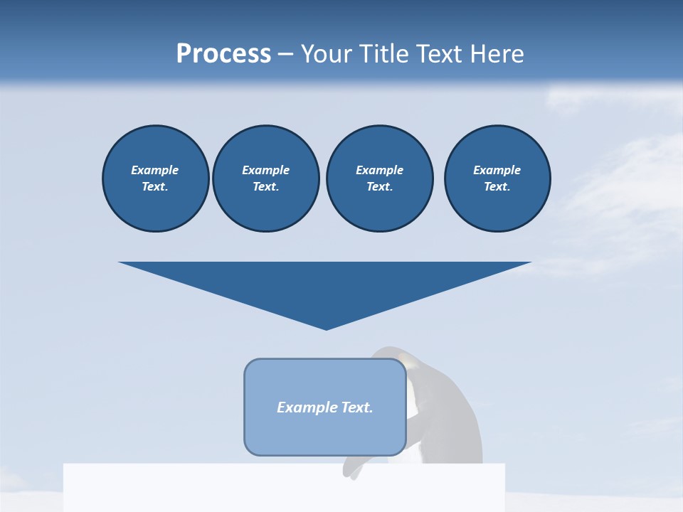 Copy Wildlife Antarctica PowerPoint Template