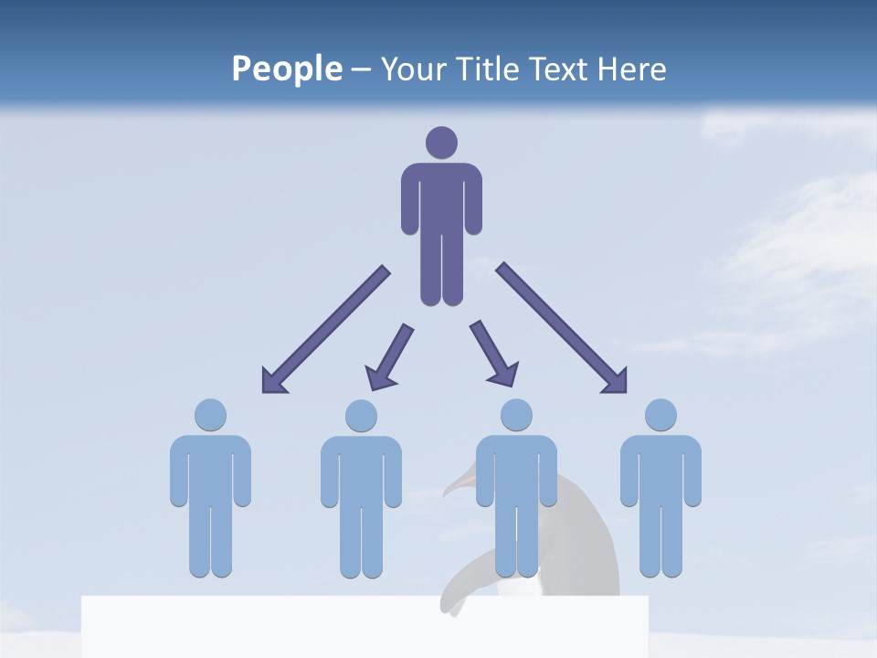 Copy Wildlife Antarctica PowerPoint Template