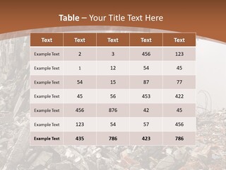 Destroyed Building PowerPoint Template