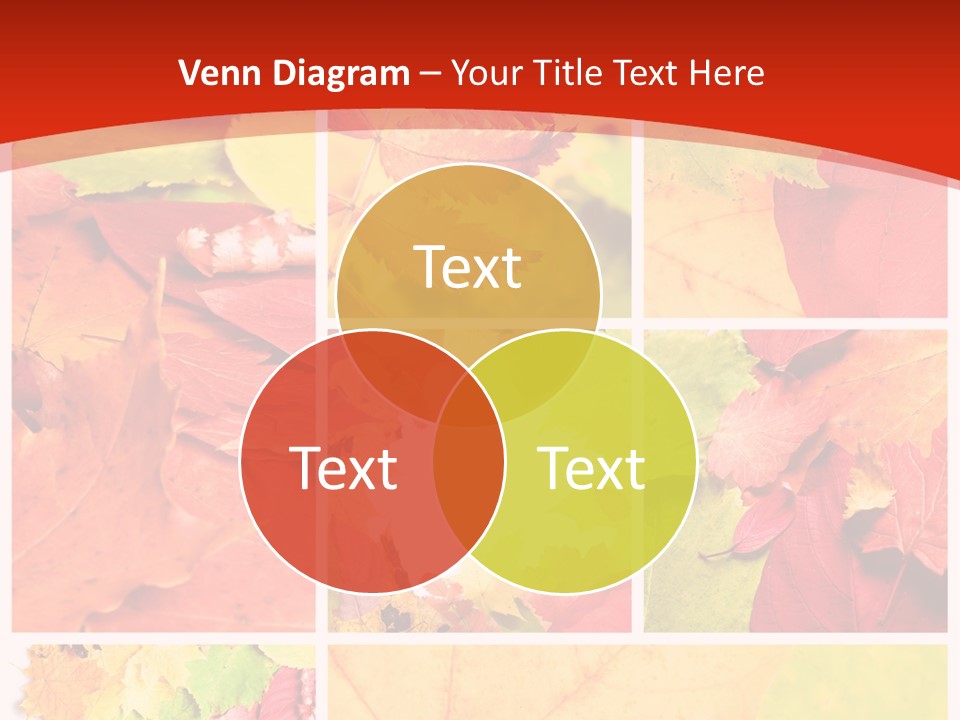 Collage Blätter PowerPoint Template