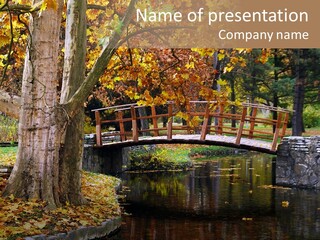 Autumn Bridge PowerPoint Template