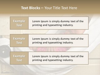 Newborn Baby Sleeping PowerPoint Template