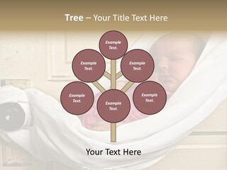 Newborn Baby Sleeping PowerPoint Template