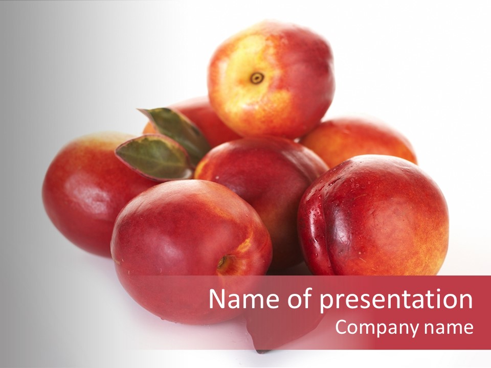 Macro Fresh Circle PowerPoint Template