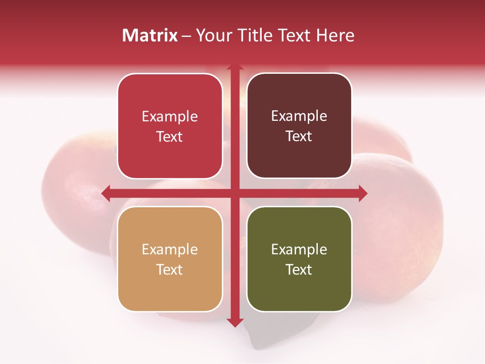Macro Fresh Circle PowerPoint Template