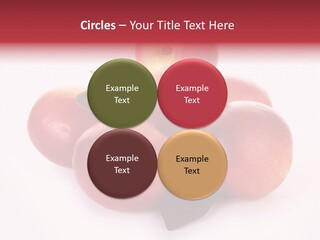 Macro Fresh Circle PowerPoint Template