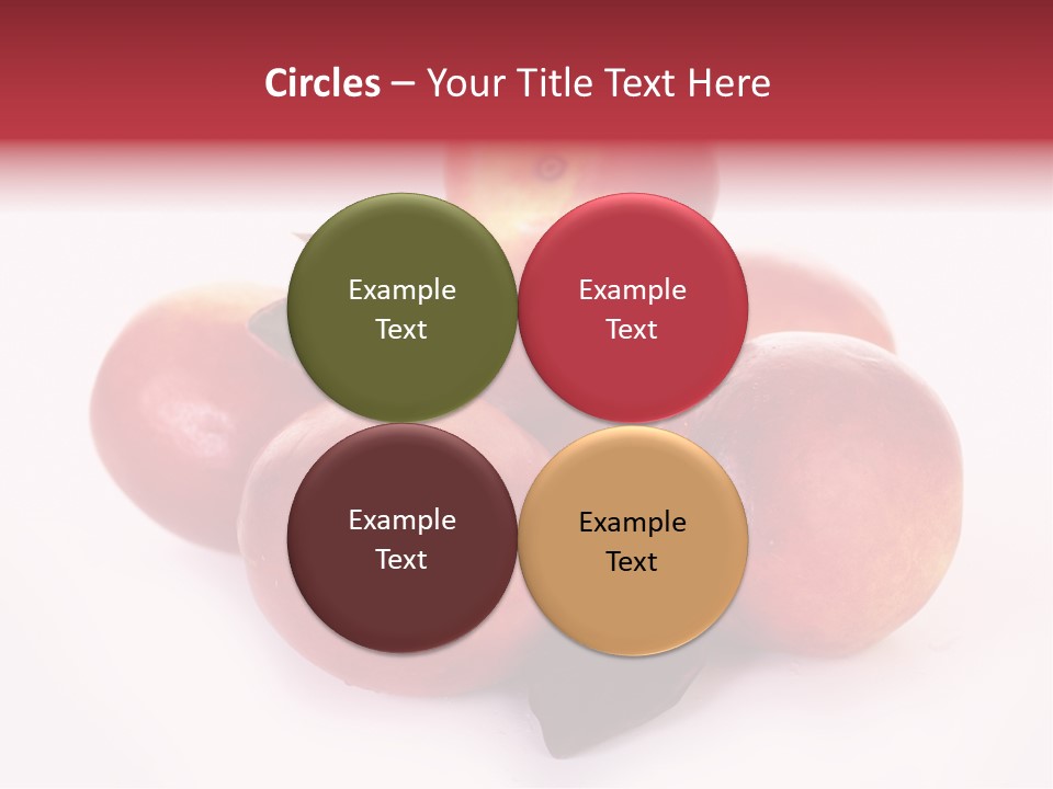 Macro Fresh Circle PowerPoint Template