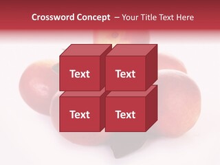 Macro Fresh Circle PowerPoint Template
