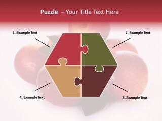 Macro Fresh Circle PowerPoint Template