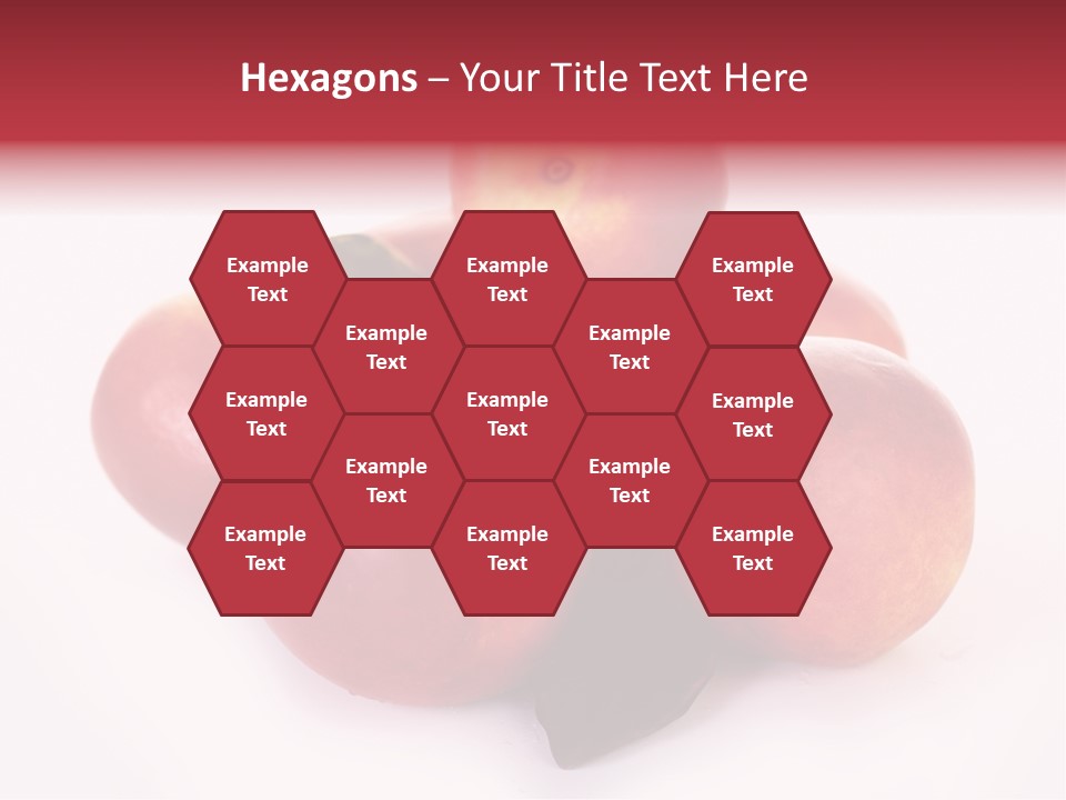 Macro Fresh Circle PowerPoint Template